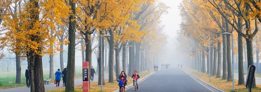 四川省自学考试报名时间